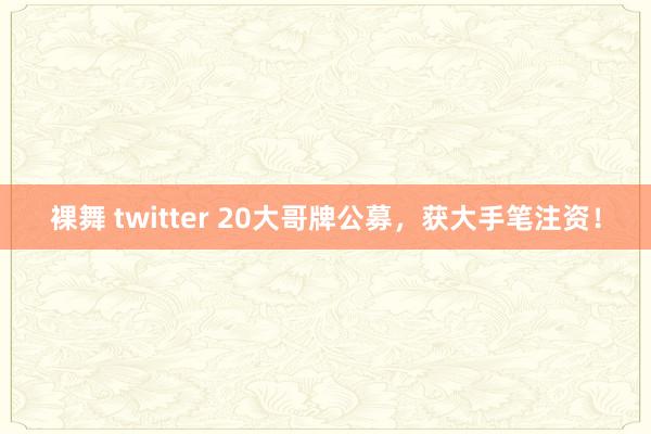 裸舞 twitter 20大哥牌公募，获大手笔注资！