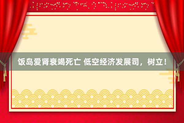 饭岛爱肾衰竭死亡 低空经济发展司，树立！