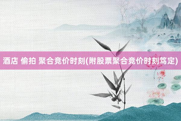 酒店 偷拍 聚合竞价时刻(附股票聚合竞价时刻笃定)