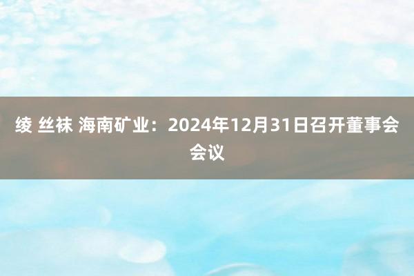 绫 丝袜 海南矿业：2024年12月31日召开董事会会议