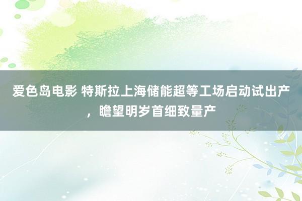 爱色岛电影 特斯拉上海储能超等工场启动试出产，瞻望明岁首细致量产