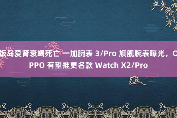饭岛爱肾衰竭死亡 一加腕表 3/Pro 旗舰腕表曝光，OPPO 有望推更名款 Watch X2/Pro