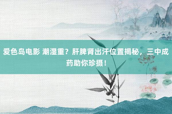 爱色岛电影 潮湿重？肝脾肾出汗位置揭秘，三中成药助你珍摄！