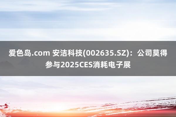 爱色岛.com 安洁科技(002635.SZ)：公司莫得参与2025CES消耗电子展