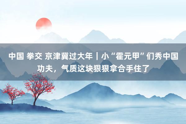 中国 拳交 京津冀过大年｜小“霍元甲”们秀中国功夫，气质这块狠狠拿合手住了