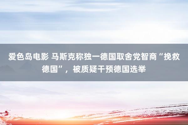 爱色岛电影 马斯克称独一德国取舍党智商“挽救德国”，被质疑干预德国选举