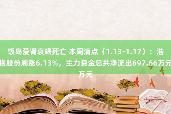 饭岛爱肾衰竭死亡 本周清点（1.13-1.17）：浩物股份周涨6.13%，主力资金总共净流出697.66万元