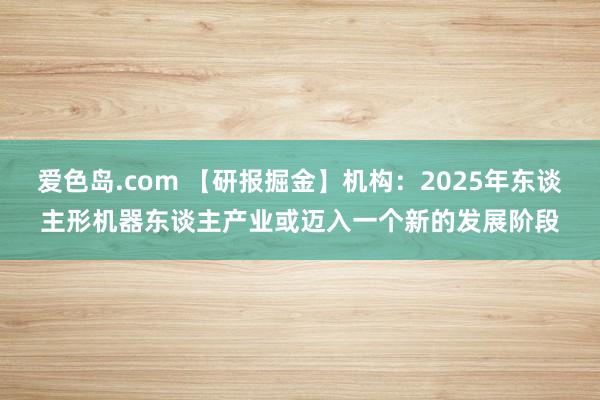 爱色岛.com 【研报掘金】机构：2025年东谈主形机器东谈主产业或迈入一个新的发展阶段