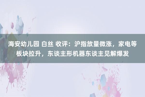 海安幼儿园 白丝 收评：沪指放量微涨，家电等板块拉升，东谈主形机器东谈主见解爆发