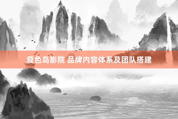 爱色岛影院 品牌内容体系及团队搭建