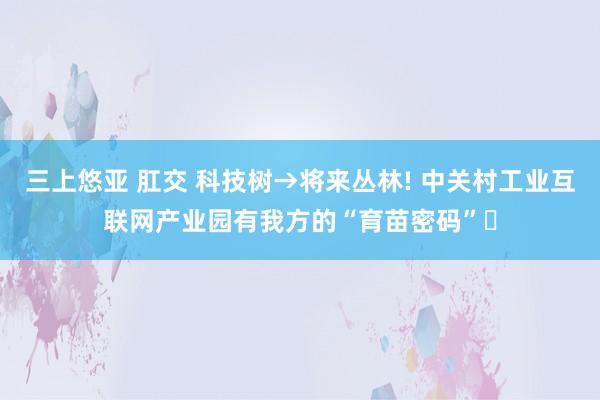 三上悠亚 肛交 科技树→将来丛林! 中关村工业互联网产业园有我方的“育苗密码”‌