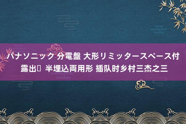 パナソニック 分電盤 大形リミッタースペース付 露出・半埋込両用形 插队时乡村三杰之三