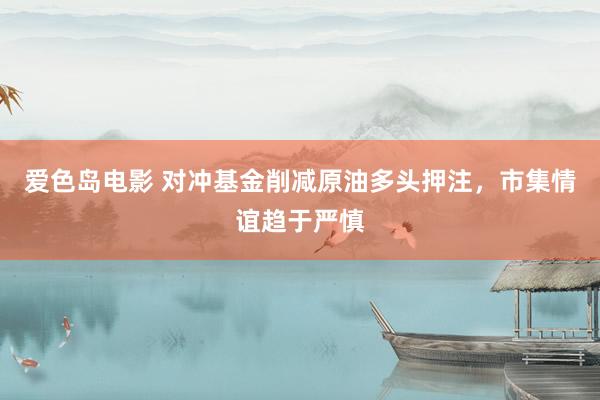 爱色岛电影 对冲基金削减原油多头押注，市集情谊趋于严慎