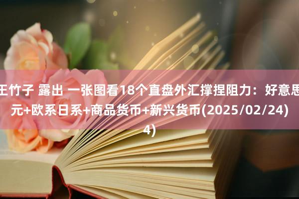 王竹子 露出 一张图看18个直盘外汇撑捏阻力：好意思元+欧系日系+商品货币+新兴货币(2025/02/24)