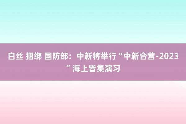 白丝 捆绑 国防部：中新将举行“中新合营-2023”海上皆集演习