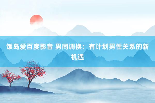 饭岛爱百度影音 男同调换：有计划男性关系的新机遇