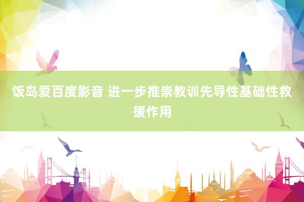 饭岛爱百度影音 进一步推崇教训先导性基础性救援作用
