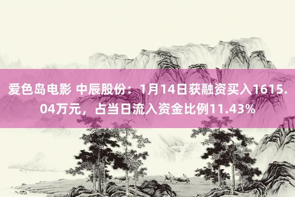 爱色岛电影 中辰股份：1月14日获融资买入1615.04万元，占当日流入资金比例11.43%