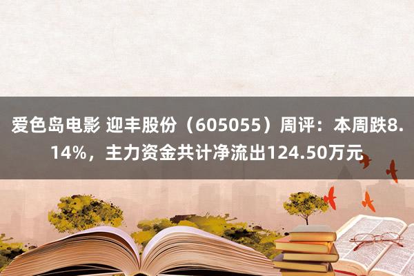 爱色岛电影 迎丰股份（605055）周评：本周跌8.14%，主力资金共计净流出124.50万元