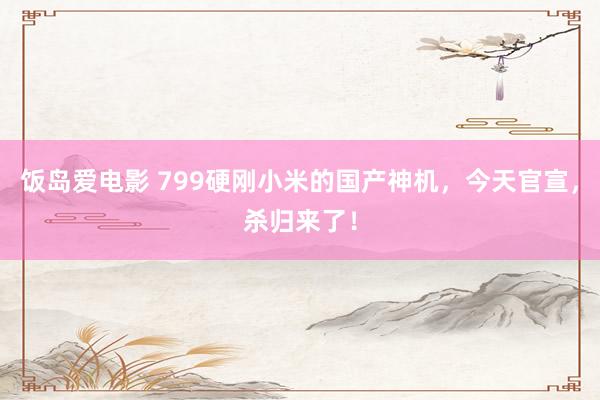 饭岛爱电影 799硬刚小米的国产神机，今天官宣，杀归来了！