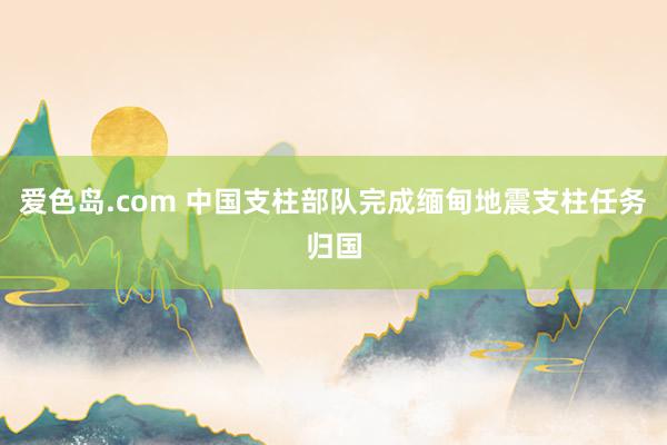 爱色岛.com 中国支柱部队完成缅甸地震支柱任务归国