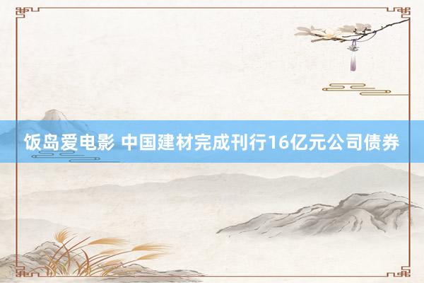 饭岛爱电影 中国建材完成刊行16亿元公司债券