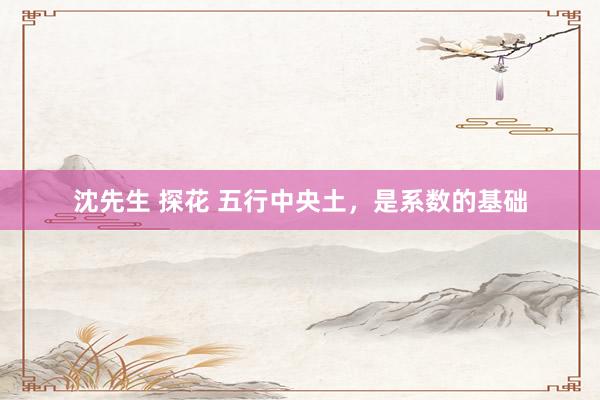 沈先生 探花 五行中央土，是系数的基础