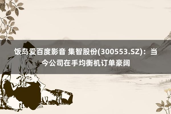 饭岛爱百度影音 集智股份(300553.SZ)：当今公司在手均衡机订单豪阔